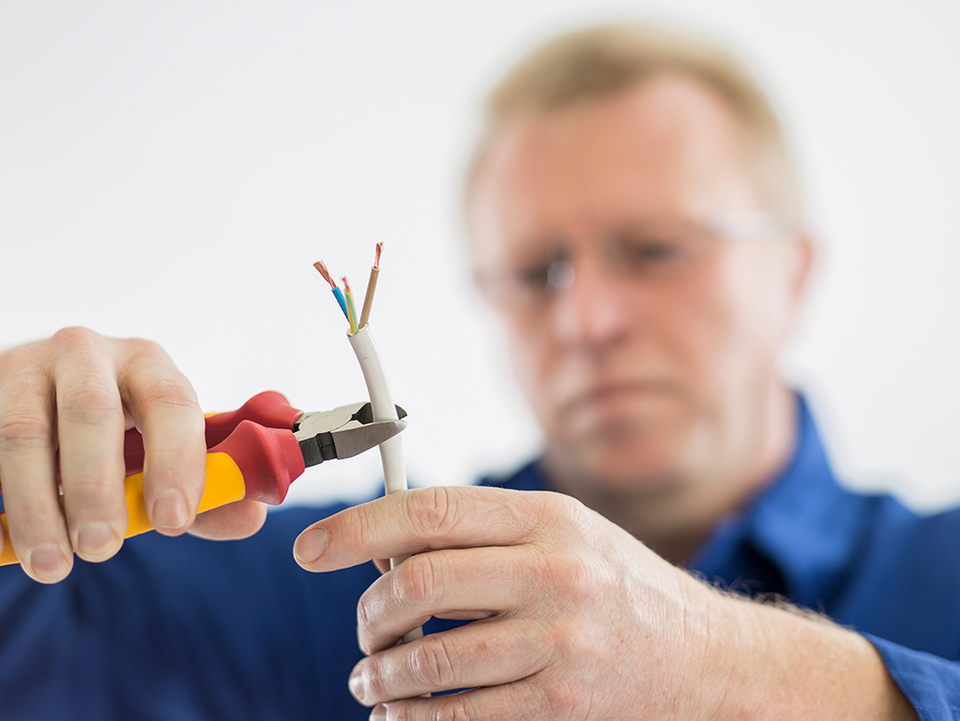 C F021729 bei Elektrotechnik Lehmann in Sonnewalde OT Großbahren